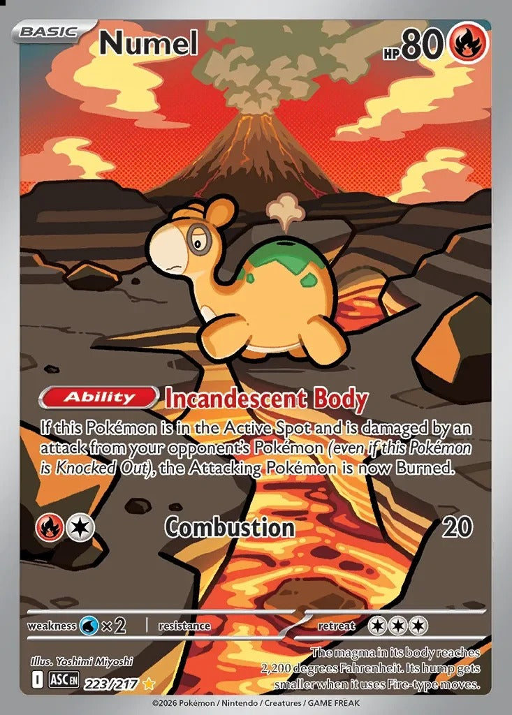 Numel 223/217 Ascended Heroes Pokemon card, official image