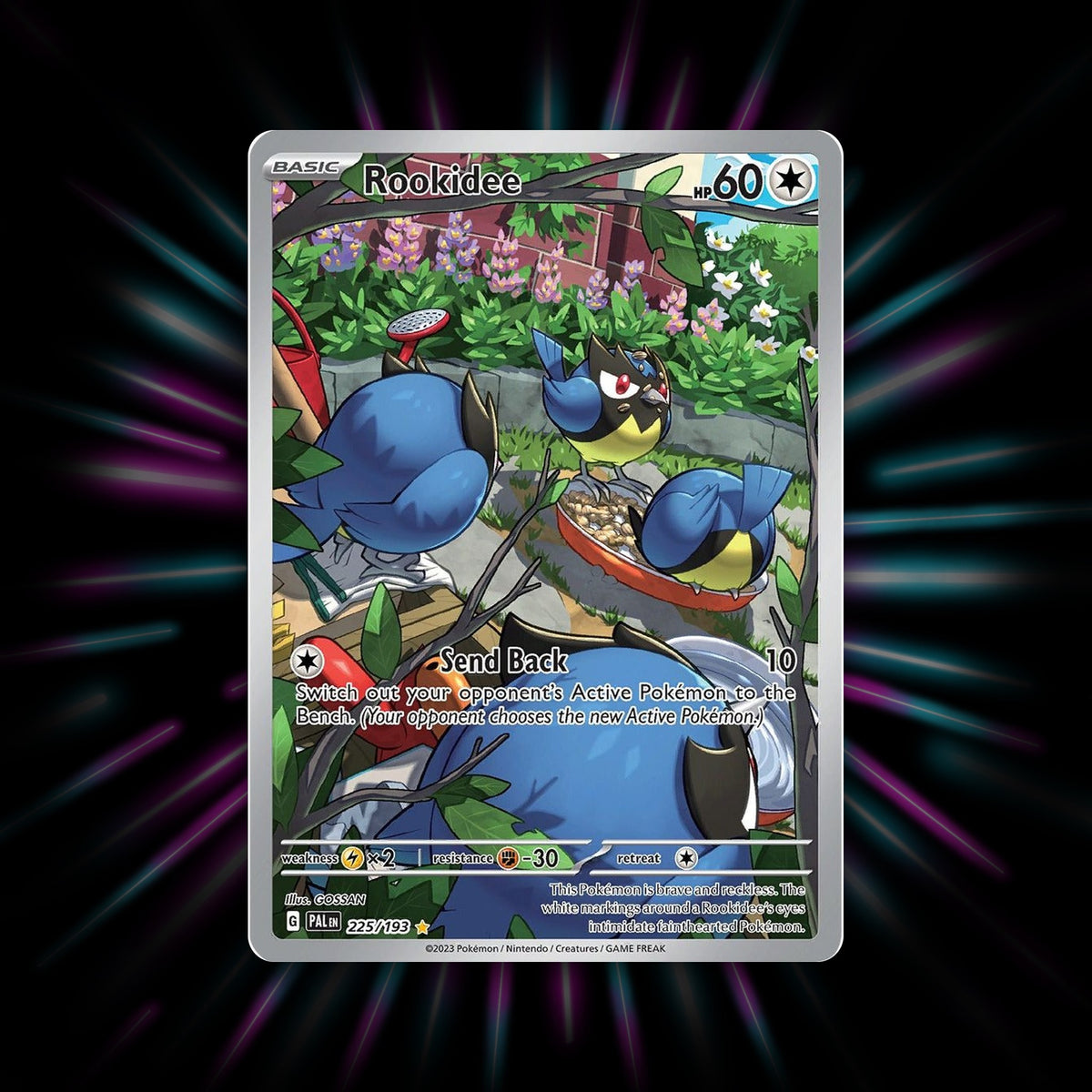 Rookidee 225/193 Paldea Evolved Pokemon card