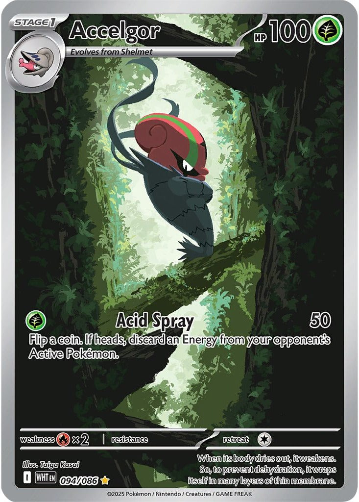 Accelgor 094/086 White Flare Pokemon card, official image