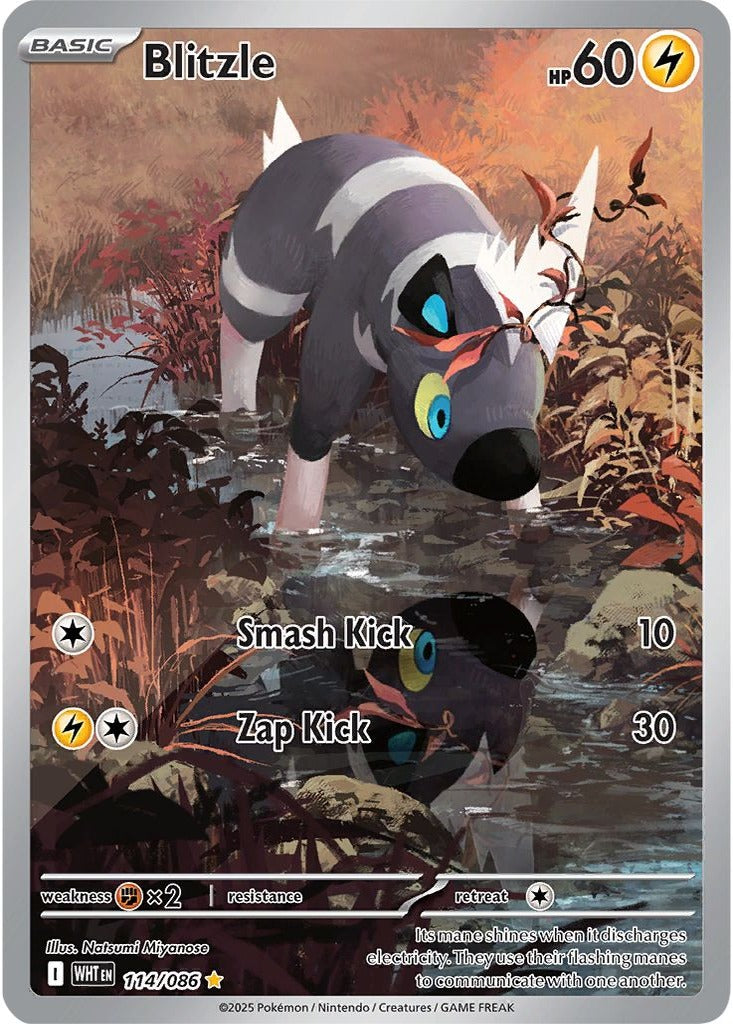 Blitzle 114/086 White Flare Pokemon card, official image