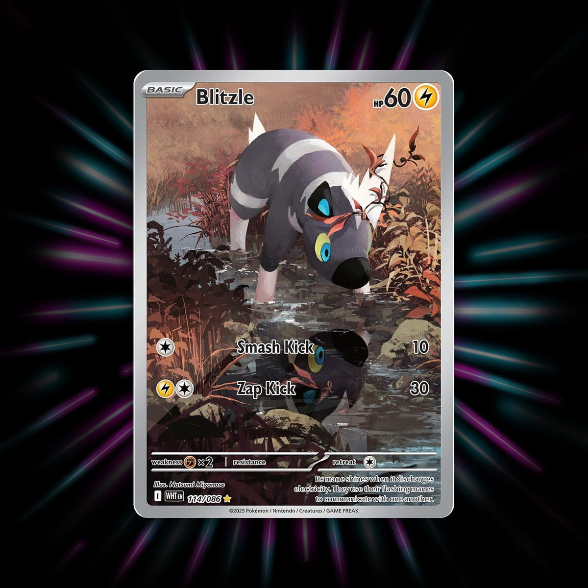 Blitzle 114/086 White Flare Illustration Rare Pokemon card