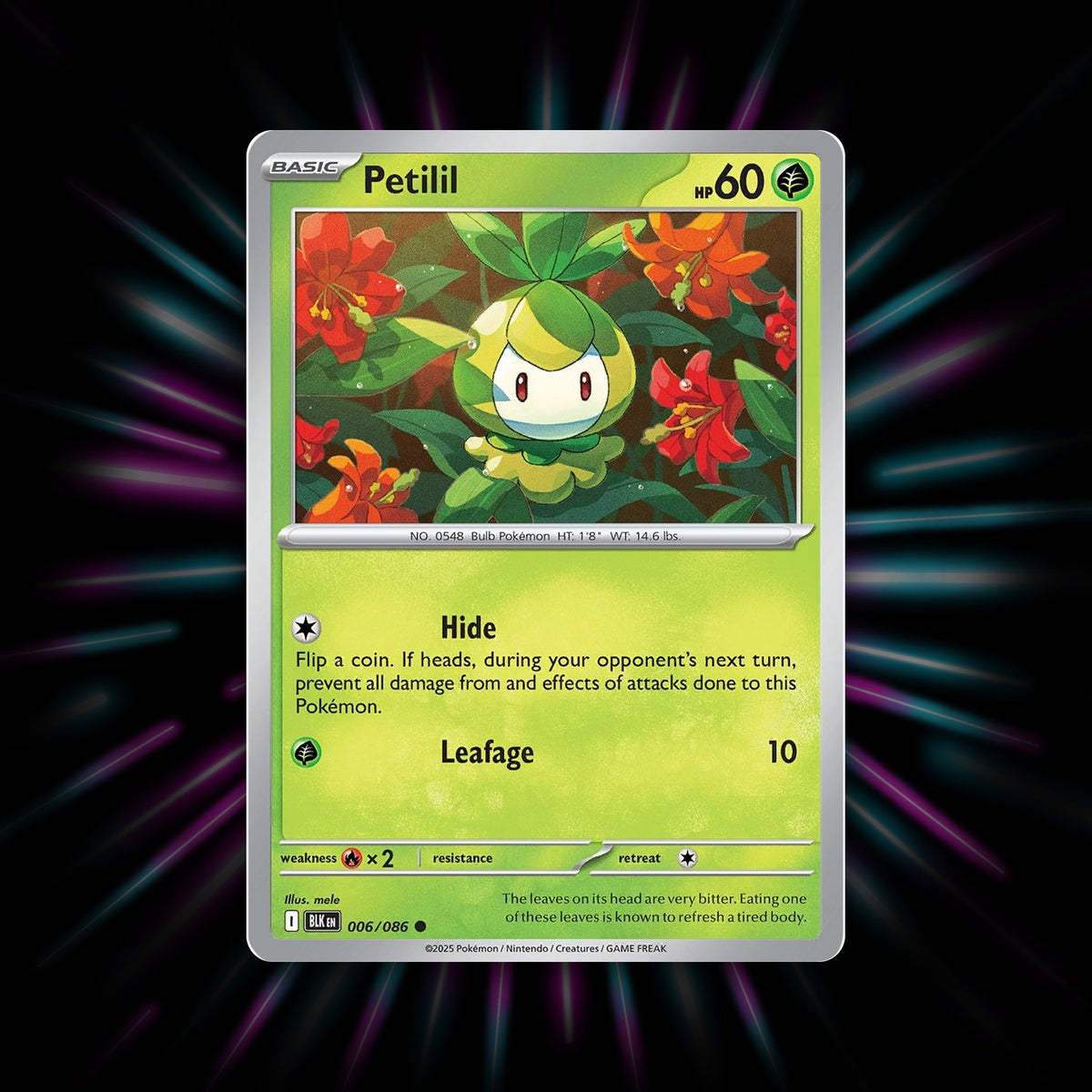 Petilil 006/086 Black Bolt Poke Ball Holo Pokemon card