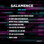 What you get in the Salamence placeholder pack