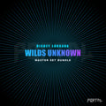 Wilds Unknown Master Set Bundle - Disney Lorcana