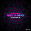 Wilds Unknown Premium Printed Binder - Disney Lorcana